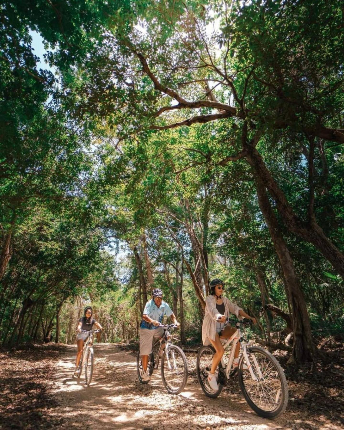 Campismo de Luxo Loft In Cenotes Natural Park Tulum